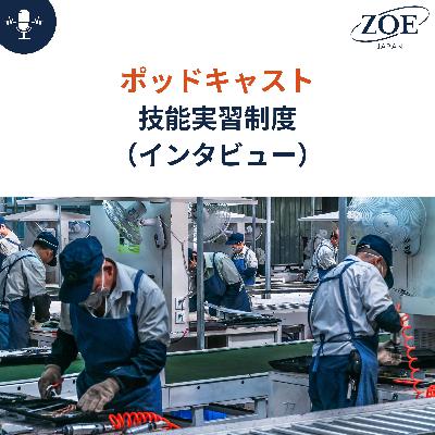 技能実習制度（インタビュー）