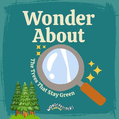 Wonder About — The Trees That Stay Green