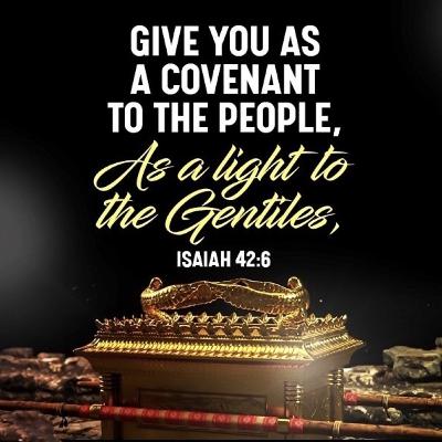 Isaiah 42 I have called you for a righteous purpose, and I will hold you by your hand. I will watch over you, and I will appoint you to be a COVENANT mediator for the people and a LIGHT to the nations