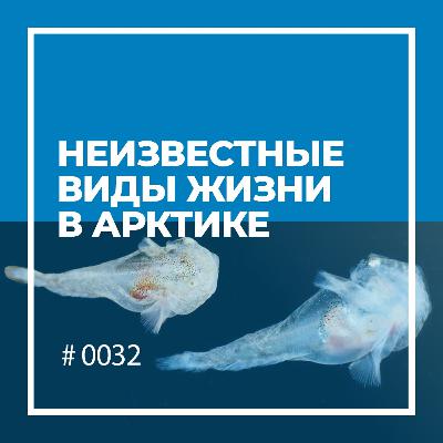 Неизвестные виды жизни в Арктике Неизвестные виды жизни в Арктике