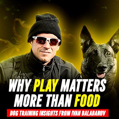 Ep. 37 - Ivan Balabanov: Building Trust, Motivation, and Lasting Results in Dog Training