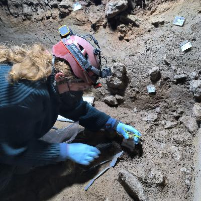 124. Jaskinia Raj. Neandertalczycy, renifery i hieny jaskiniowe - Małgorzata KOT
