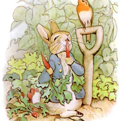 Peter Rabbit