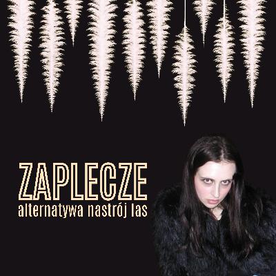 ZAPLECZE CVI
