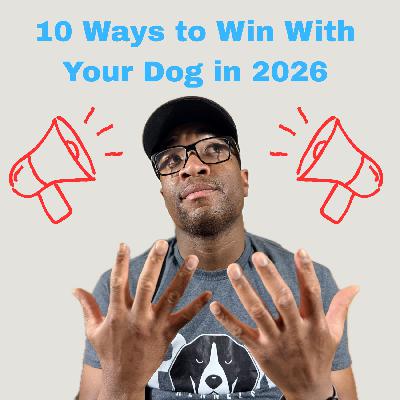 How to Win in 2026: Setting Expectations for Your Hunting Dogs How to Win in 2026: Setting Expectations for Your Hunting Dogs