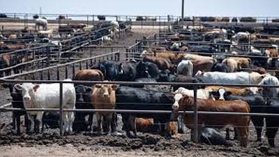 Deadline is Sept. 15 to file a claim in JBS settlement