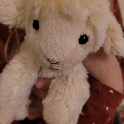 Jesus sucht das verlorene Schäfchen