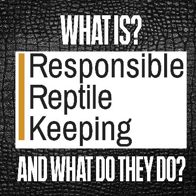 ReptiChat #Ep 47 - Responsible Reptile Keeping Q&A