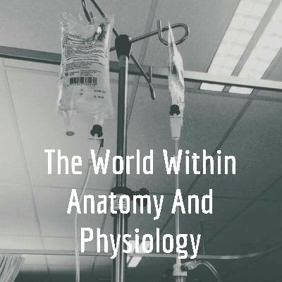 Into the Cardiac System