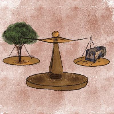 Episódio 17 - Critérios socioambientais: preservação como desenvolvimento Episódio 17 - Critérios socioambientais: preservação como desenvolvimento