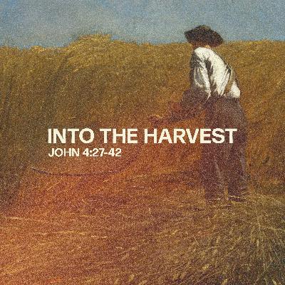 Into the Harvest - Jume 29, 2025