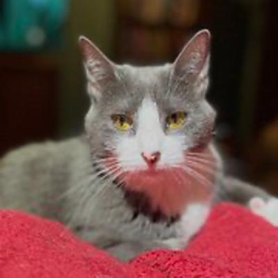 Episode 3013 CWSA 11/09/25