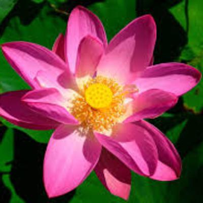 God Is Doing A New Thing!