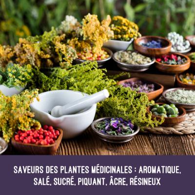 Saveurs des plantes médicinales - aromatique, salé, sucré, piquant, âcre, résineux-podcast