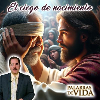 El ciego de nacimiento - Palabras de Vida