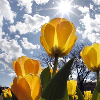 Ask Me Anything(Part 2), 竟然问我关于婚姻的问题......