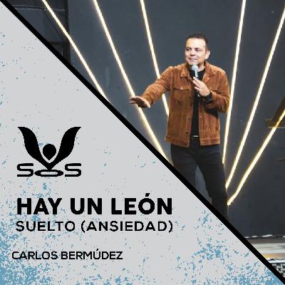 Episodio 31 📺 - Hay un león suelto - Ansiedad - Carlos Bermúdez