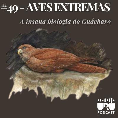 #049 - Série Aves Extremas: O Guácharo
