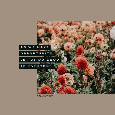 Studying Psalm 56•Featuring Friendship
