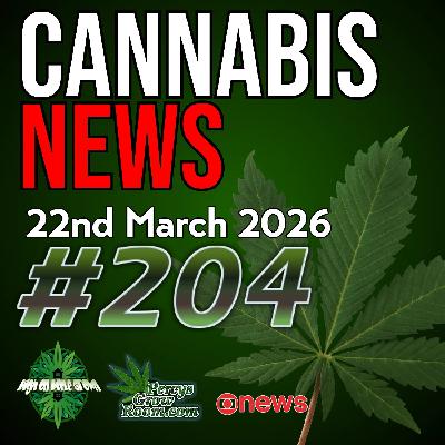 More Propaganda, A Study Claims Cannabis Doesn't Help with Mental Health Issues, we Disagree! Guernsey Medical Crackdown, Rescheduling Uncertainty in the USA | Cannabis News 204