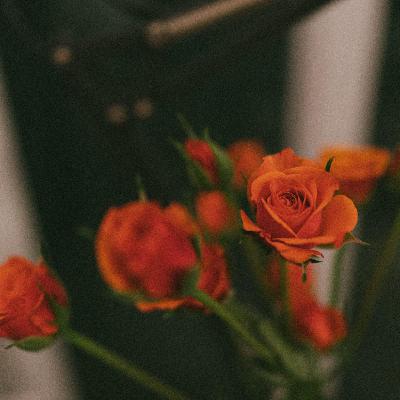 Sebuah Prolog, Romantis bukan itu-itu terus Sebuah Prolog, Romantis bukan itu-itu terus