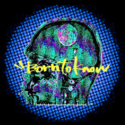 #40 斑尾トレイルの記憶 #40 斑尾トレイルの記憶