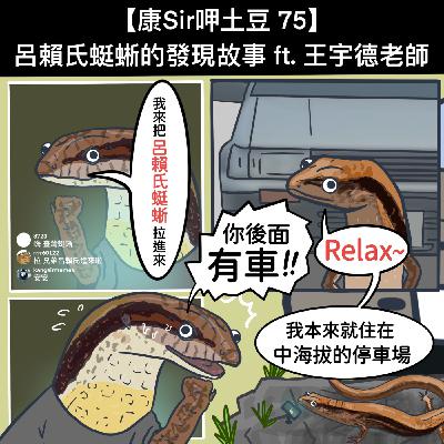 【康Sir呷土豆 75】呂賴氏蜓蜥的發現故事ft. 王宇德老師