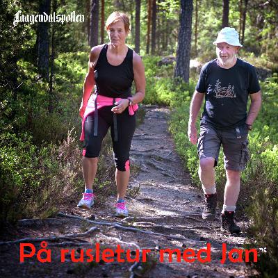 Ut i skogen for å tømme hodet med Wivi-Ann Bamrud
