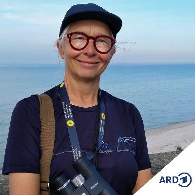Natürlich engagiert: Ökologischer Freiwilligendienst an der Ostsee