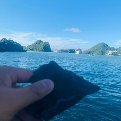 Chương II: Chế Độ Lính Tình Nguyện