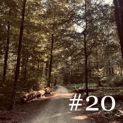 # 20 - fin de la pause ?