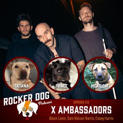 Sam, Casey & Adam of X Ambassadors