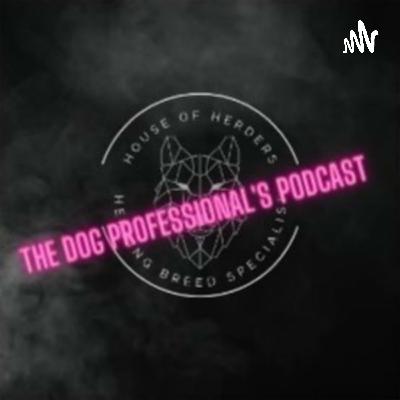 Ep3: When throwing treats may not be the best solution