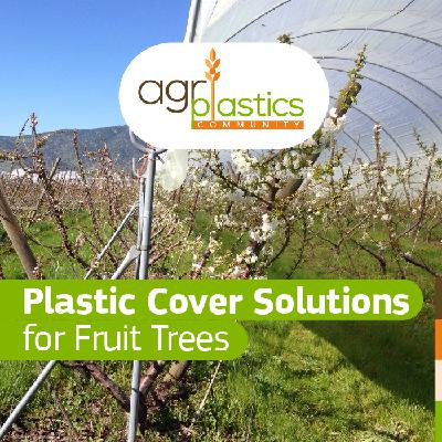 Plastic Cover Solutions for Fruit Trees