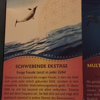 054 Stille Ekstase Dasein - Frage: Glücklichsein