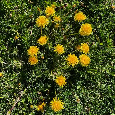 Episode 40: Elin och Karin heter vi