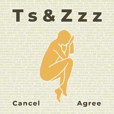 Reddit User Agreement and Privacy Policy