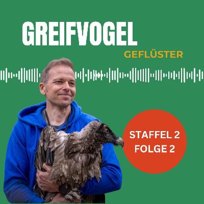 Die Rückkehr des Bartgeiers: Ein Erfolgsgeschichte - Interview mit Toni Wegscheider vom LBV Landesbund für Vogel- und Naturschutz in Bayern e.V.