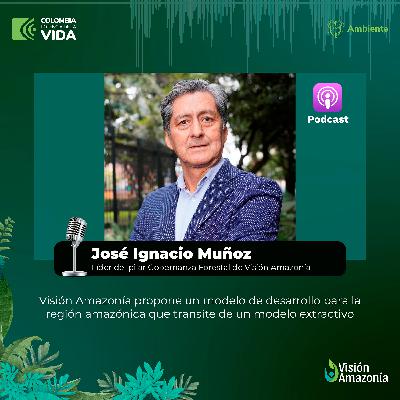 Núcleos de Desarrollo Forestal - José Ignacio Muñoz