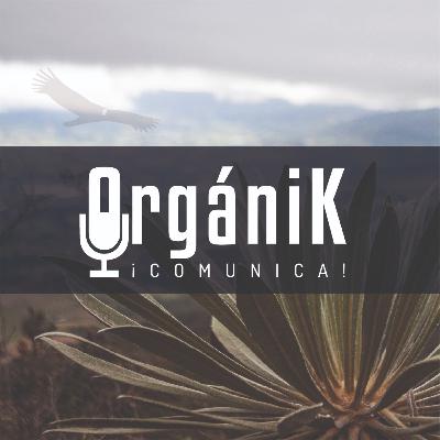 “OrgániK” - ¡Comunica! - 004 “OrgániK” - ¡Comunica! - 004