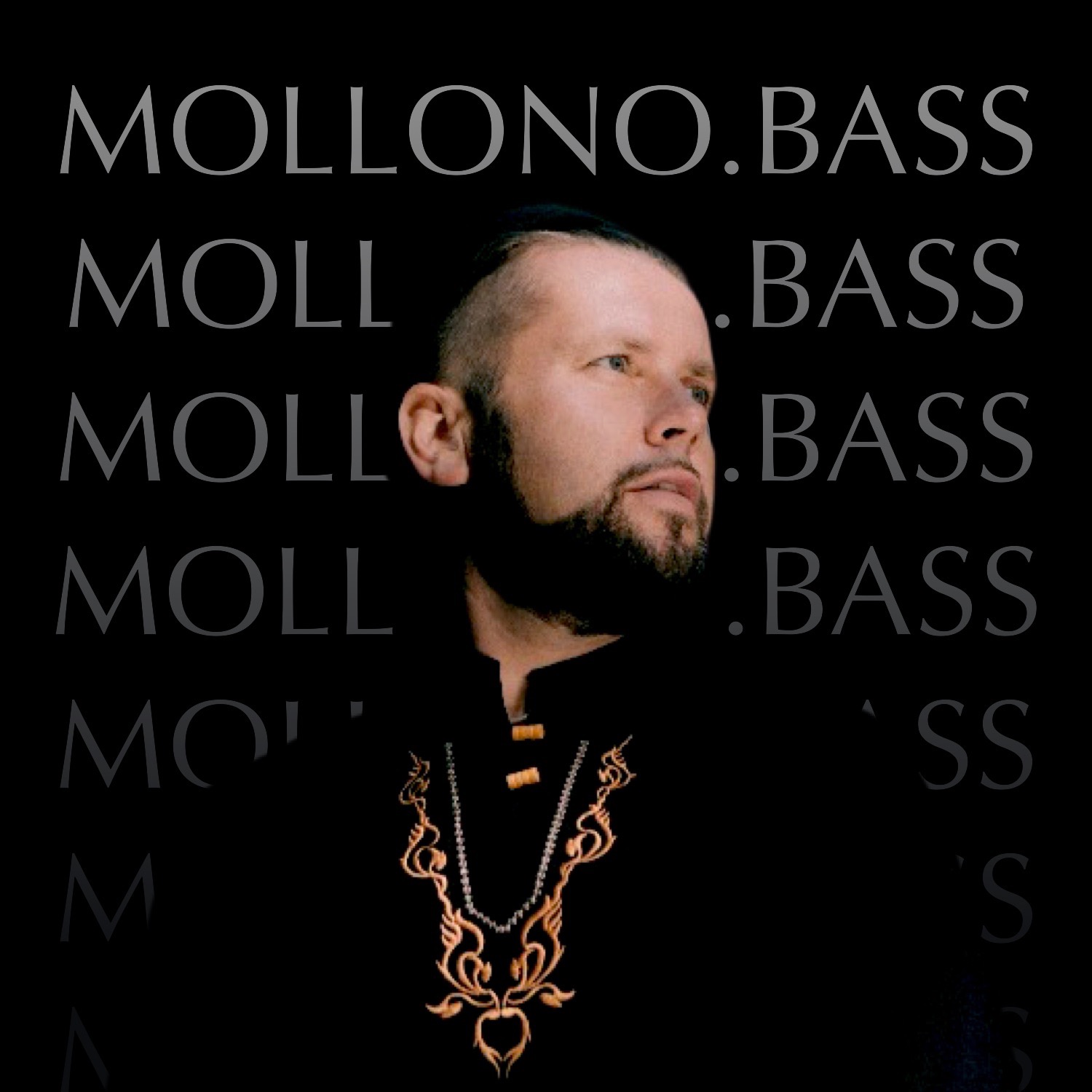 OM Library / OnlyMusic™