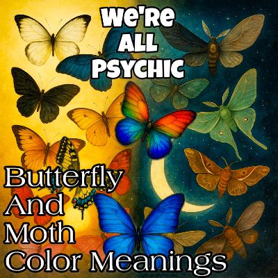 Butterfly and Moth Color Meanings Butterfly and Moth Color Meanings