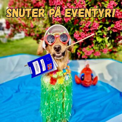 #4. Snuter på eventyr - oppkast i baksetet og kaniner som snakker