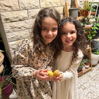 תפוח אדמה לב תפוח אדמה לב
