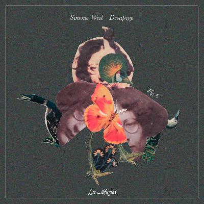 Fig 6: "Simone Weil - Desapego"