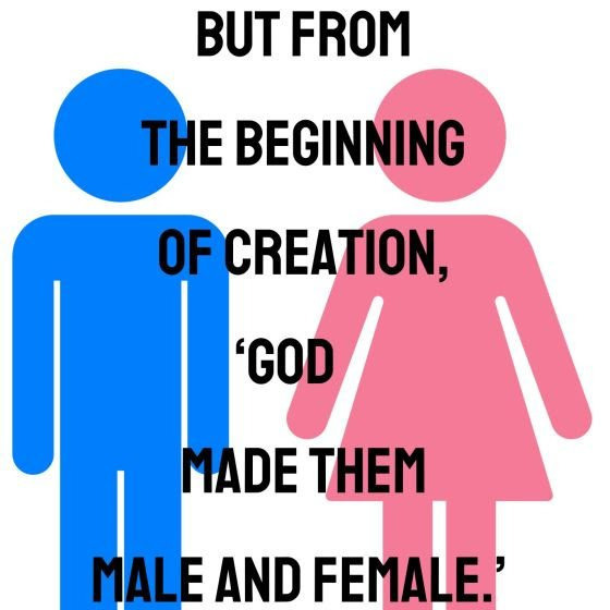 S4 Ep. 25 – 2 Genders
