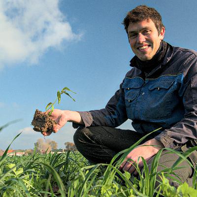 Pier review bio - Karel Dewaele en zijn pendelaars