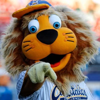 005 | Charles Demers, directeur général des Capitales de Québec 005 | Charles Demers, directeur général des Capitales de Québec