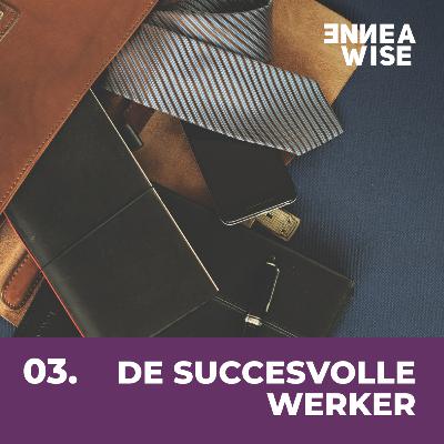 Type 3: De Succesvolle Werker