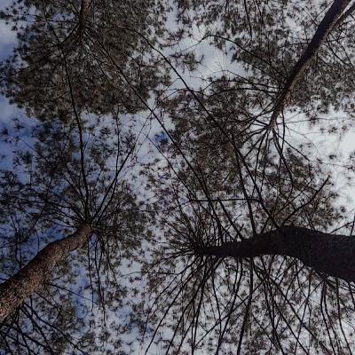 Berharga ketika tiada